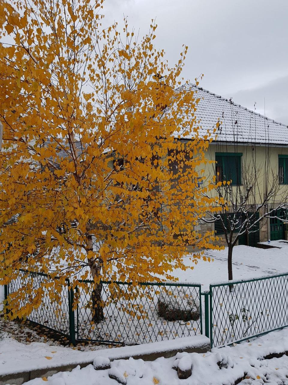 Apartment Center Колашин Экстерьер фото